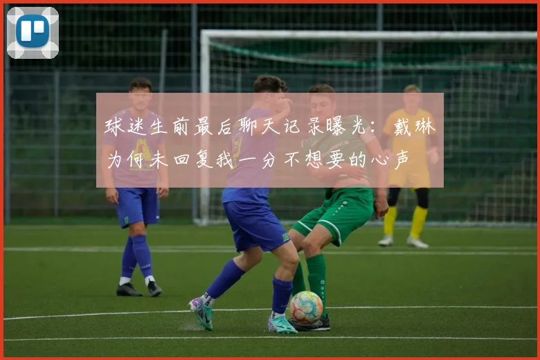 球迷生前最后聊天记录曝光：戴琳为何未回复我一分不想要的心声