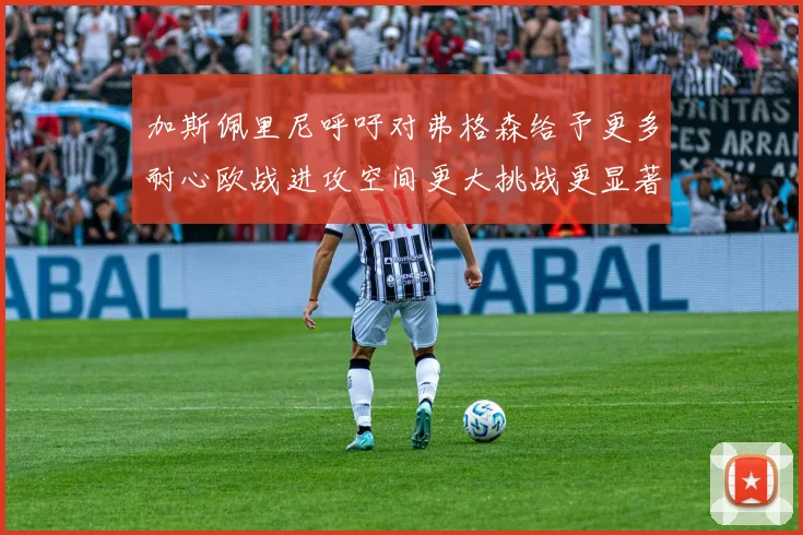 加斯佩里尼呼吁对弗格森给予更多耐心欧战进攻空间更大挑战更显著